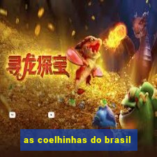 as coelhinhas do brasil